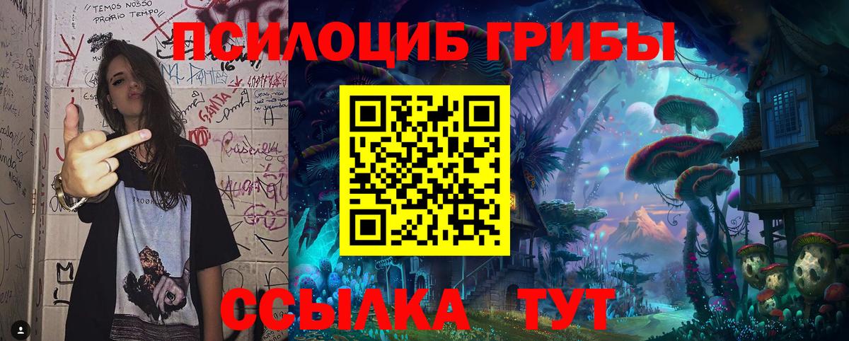Галлюциногенные грибы GOLDEN TEACHER Энгельс