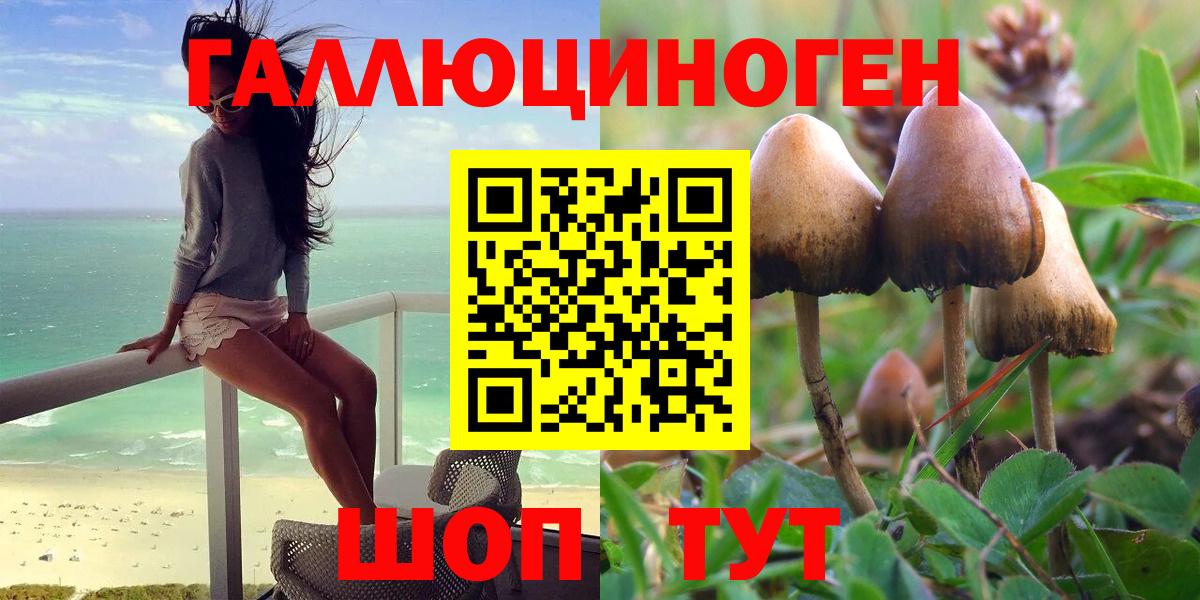 Псилоцибиновые грибы Psilocybe  сколько стоит  Энгельс  Вход с VPN 